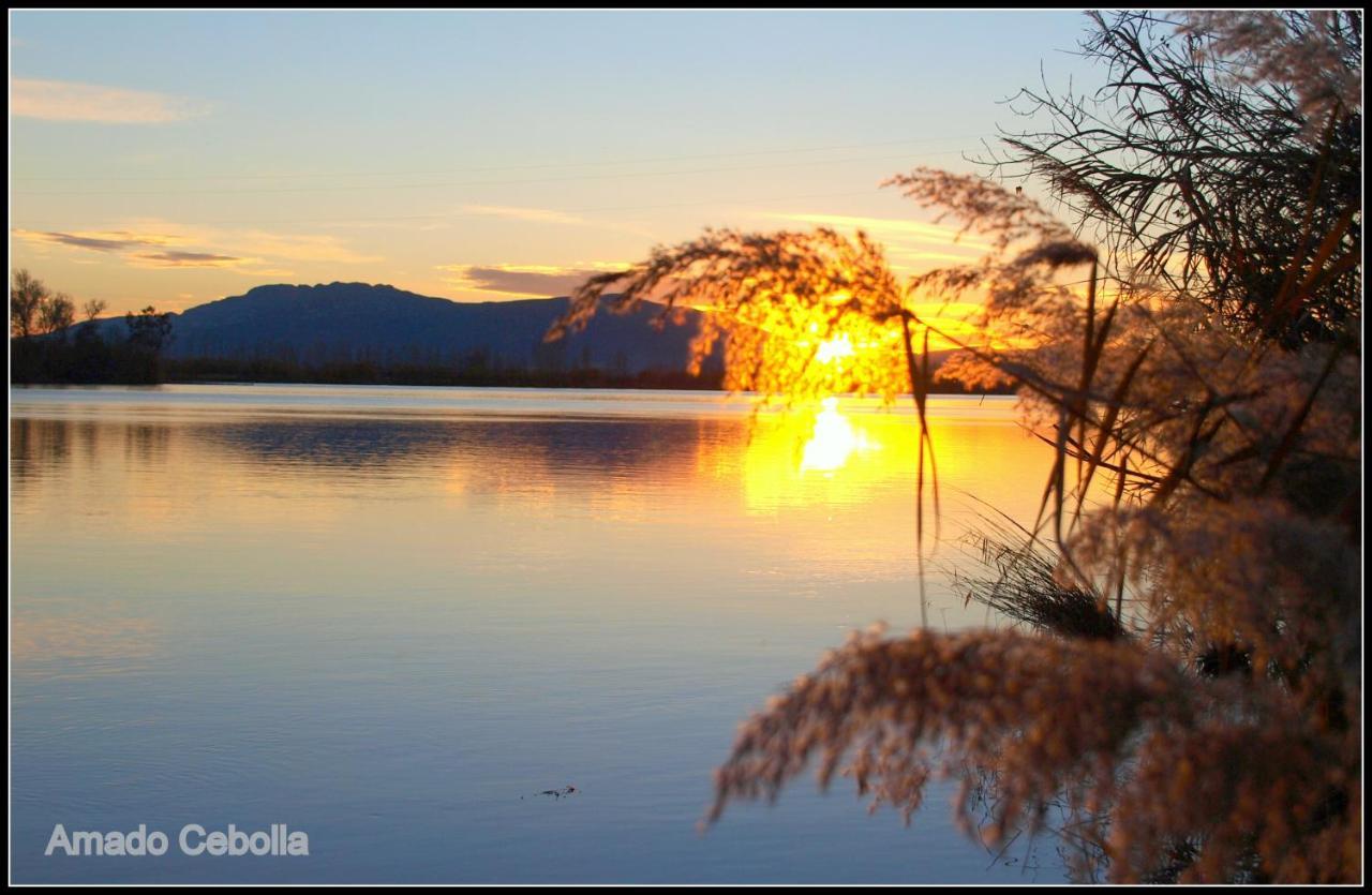 Villa Paquita - Delta De L'Ebre Дельтебре Экстерьер фото