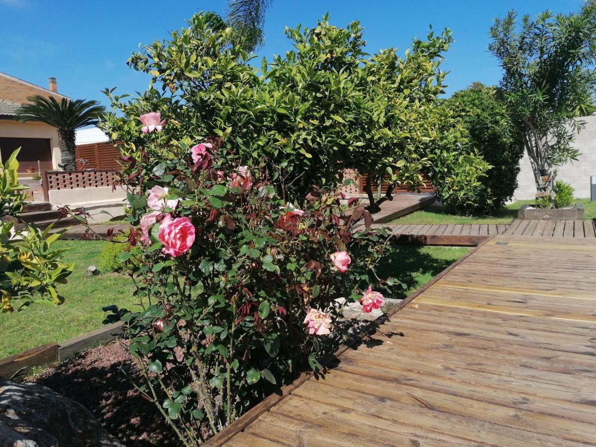 Villa Paquita - Delta De L'Ebre Дельтебре Экстерьер фото
